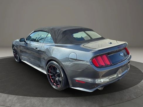 Used 2017 Ford Mustang Premium image 7