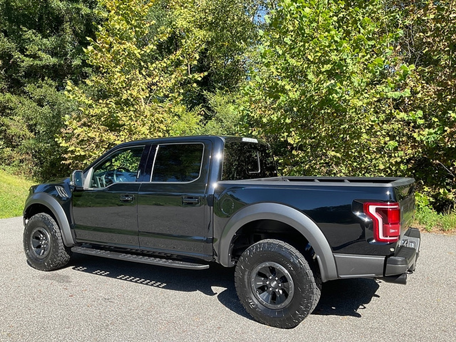 Used 2018 Ford F150 Raptor w/ Equipment Group 802A Luxury AWD/4WD image 9