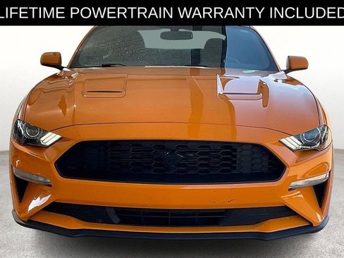 Used 2019 Ford Mustang Coupe w/ Equipment Group 101A image 5