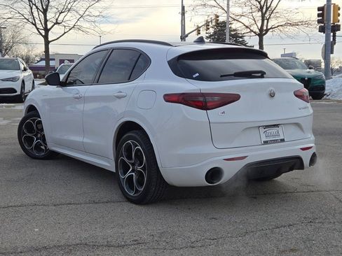 Used 2022 Alfa Romeo Stelvio Veloce image 14
