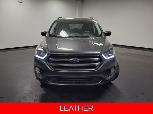 Used 2019 Ford Escape SEL image 2