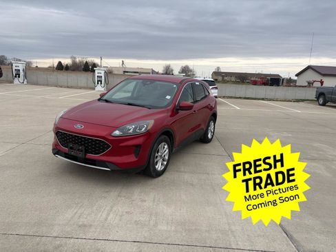 Used 2020 Ford Escape SE image 1