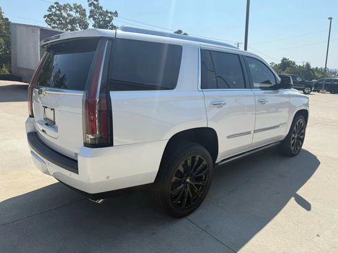 Used 2019 Cadillac Escalade Platinum image 9