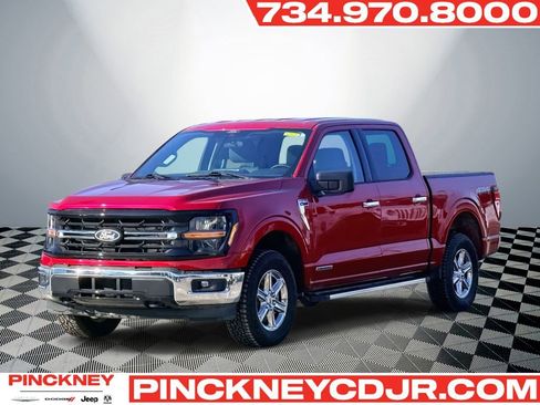Used 2025 Ford F150 XLT w/ Equipment Group 301A Standard AWD/4WD image 1