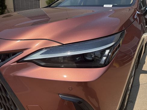 Certified 2025 Lexus NX 350 AWD w/ Cold Area Package image 6