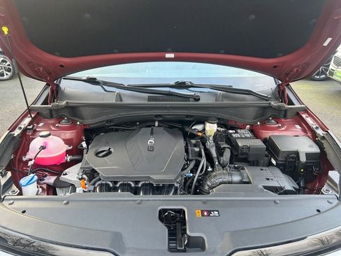 Used 2024 Kia Sportage X-Pro Prestige image 29