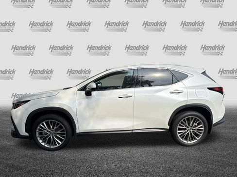 Certified 2024 Lexus NX 350h AWD w/ Vision Package image 6