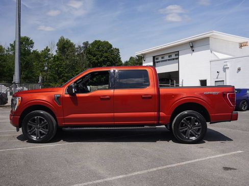 Used 2023 Ford F150 XLT w/ Equipment Group 302A High AWD/4WD image 15