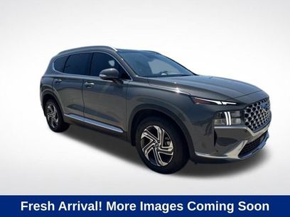 Used 2023 Hyundai Santa Fe SEL w/ Premium Package