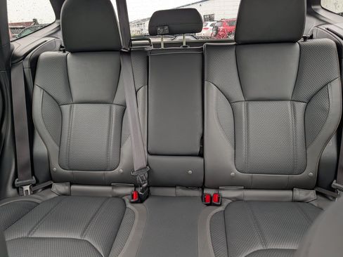 Used 2024 Subaru Forester Wilderness AWD/4WD image 13