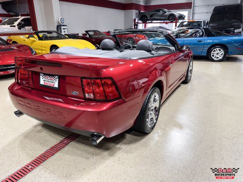 Used 2003 Ford Mustang SVT Cobra Convertible RWD image 47