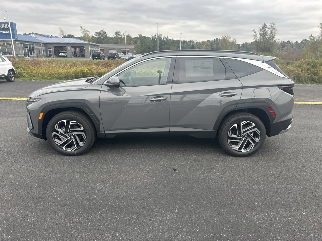 New 2026 Hyundai Tucson Limited AWD/4WD image 5