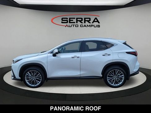 Used 2025 Lexus NX 350 AWD w/ Cold Area Package image 6