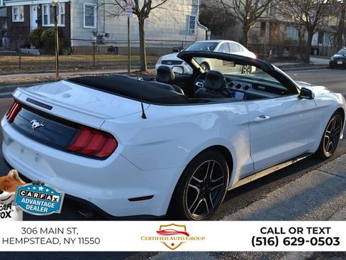 Used 2023 Ford Mustang Premium w/ Equipment Group 201A RWD image 5