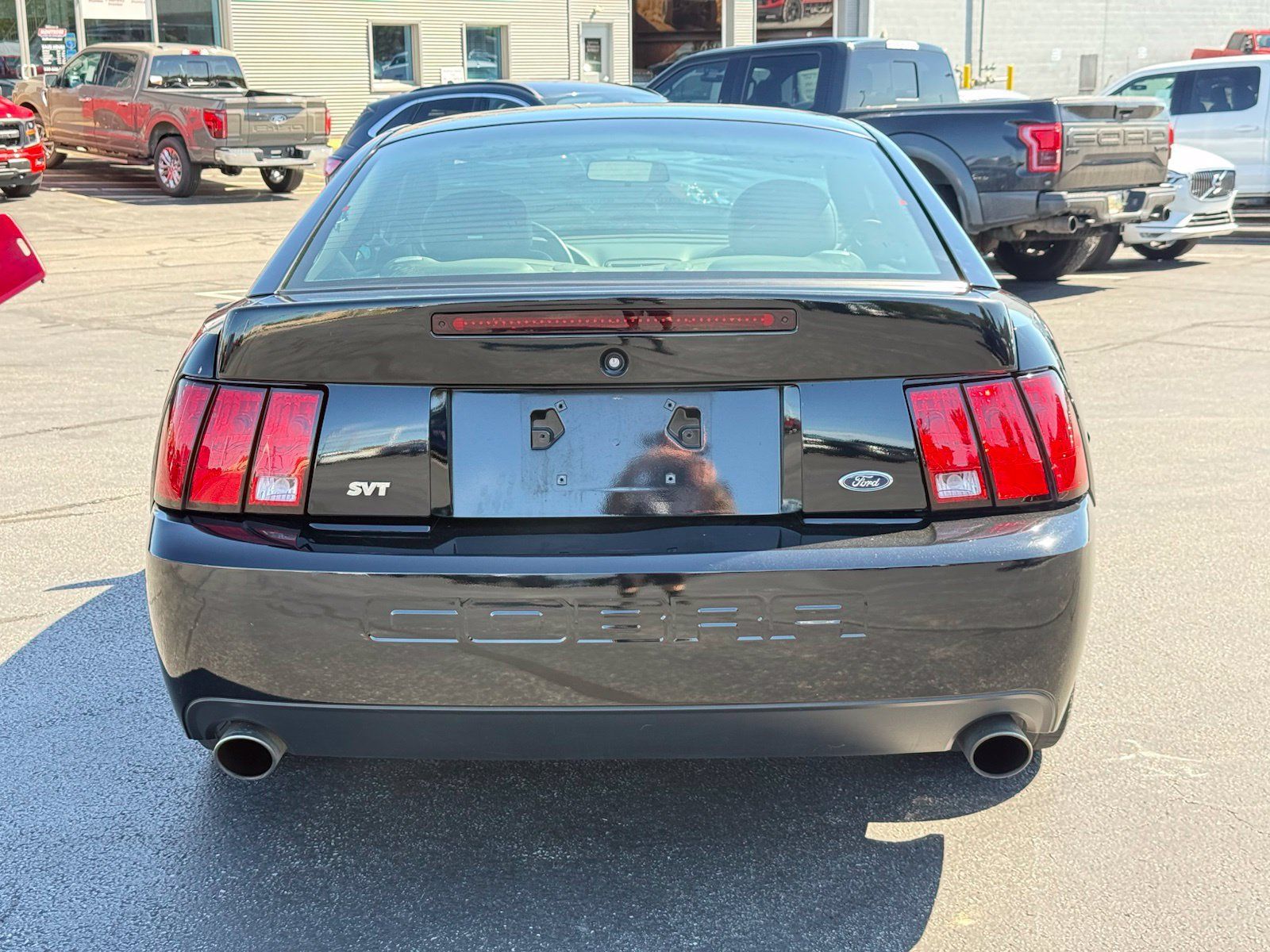 Used 2004 Ford Mustang Cobra RWD image 5
