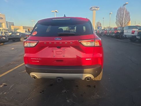 Used 2020 Ford Escape Titanium image 5