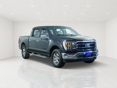 Certified 2023 Ford F150 XLT w/ Equipment Group 302A High