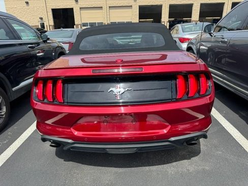 Used 2018 Ford Mustang Premium w/ Equipment Group 201A RWD image 3