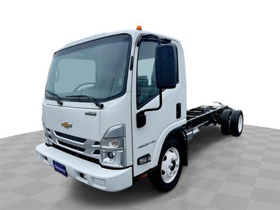New 2025 Chevrolet Low Cab Forward
