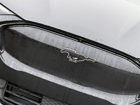 New 2026 Ford Mustang Mach-E Premium w/ Technology Package image 4