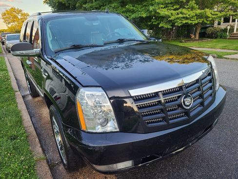 Used 2010 Cadillac Escalade Premium image 1