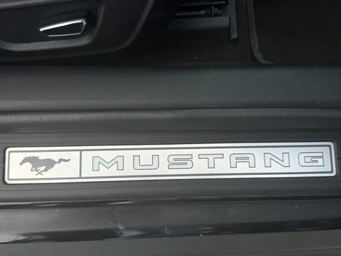 Used 2017 Ford Mustang GT Premium w/ Equipment Group 401A RWD image 59