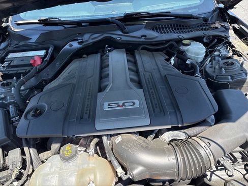 Used 2018 Ford Mustang GT w/ Equipment Group 301A RWD image 19
