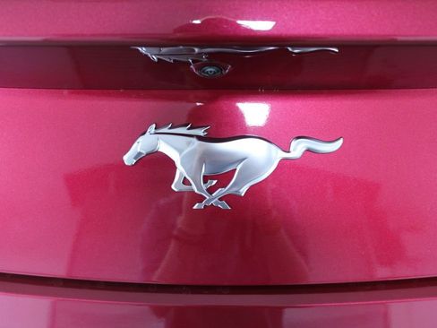 New 2025 Ford Mustang Coupe image 12