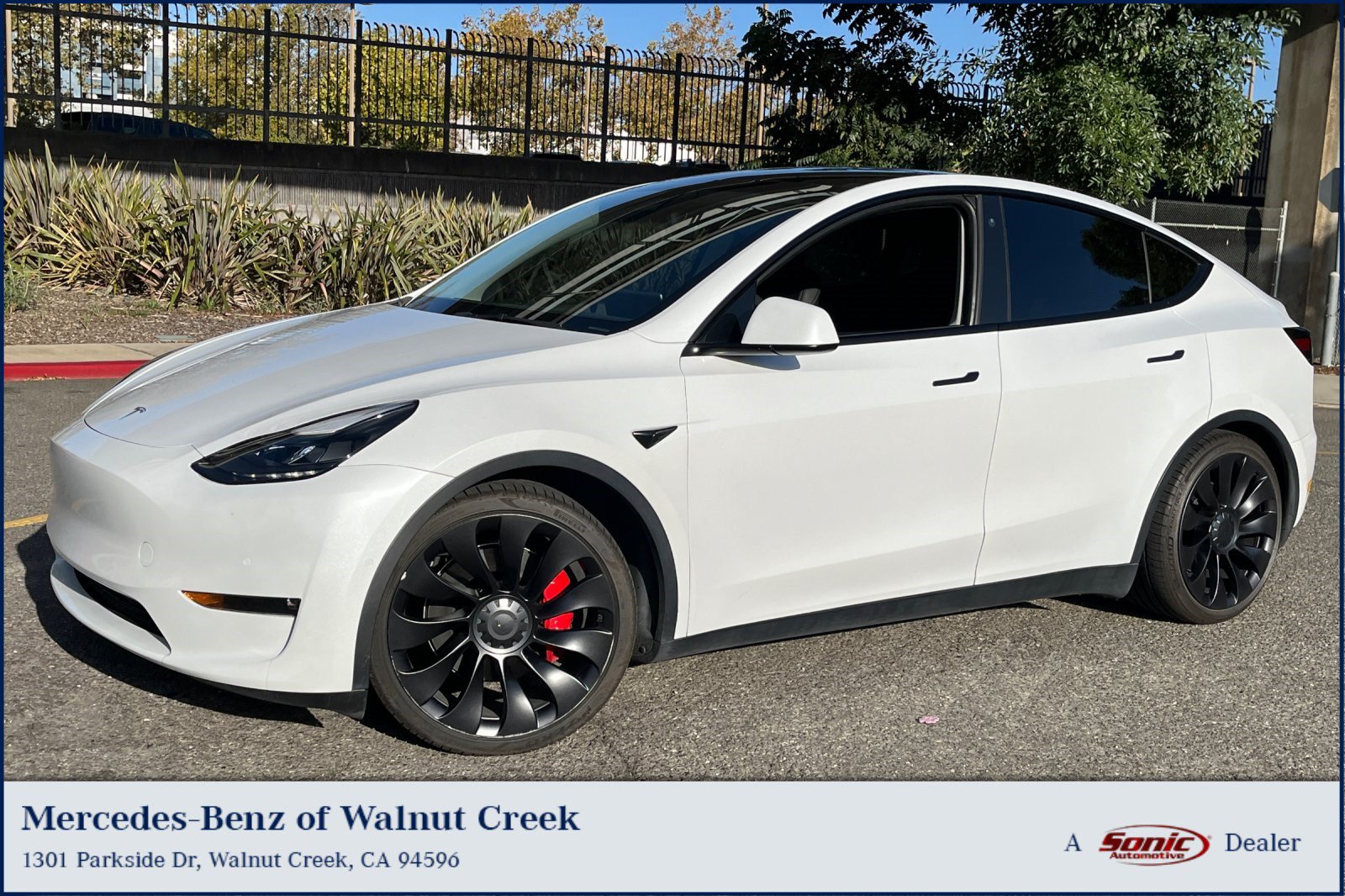 Used 2022 Tesla Model Y Performance AWD/4WD image 1