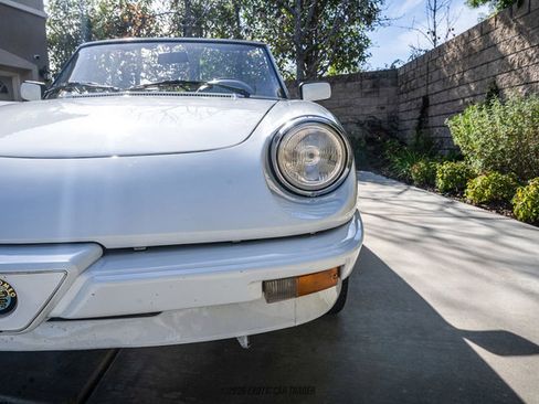 Used 1989 Alfa Romeo Spider Graduate image 82