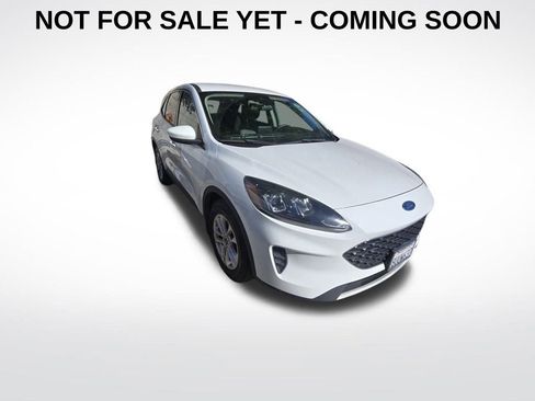 Used 2020 Ford Escape SE image 1
