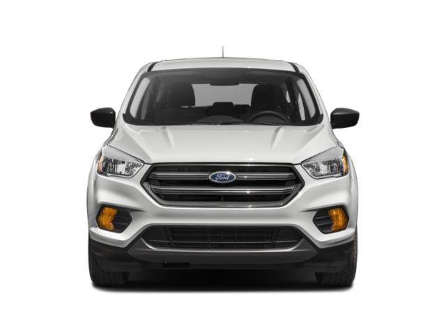 Used 2019 Ford Escape Titanium FWD image 4