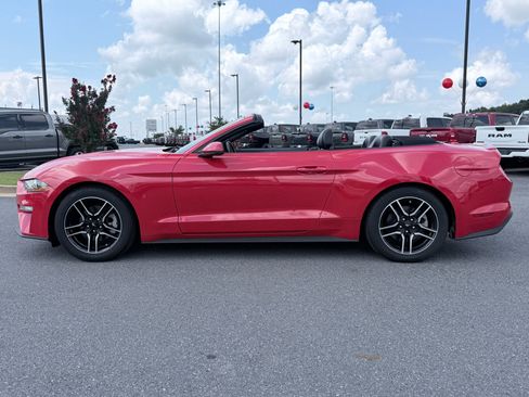 Used 2019 Ford Mustang Premium RWD image 5