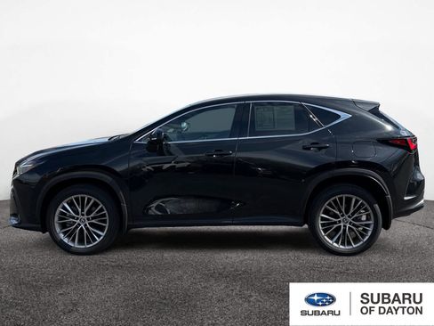 Used 2023 Lexus NX 350h Luxury w/ Vision Package image 2