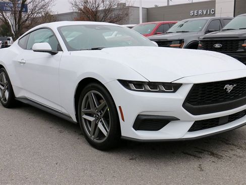 New 2025 Ford Mustang EcoBoost image 4