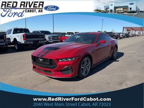 Used 2024 Ford Mustang GT Premium image 1