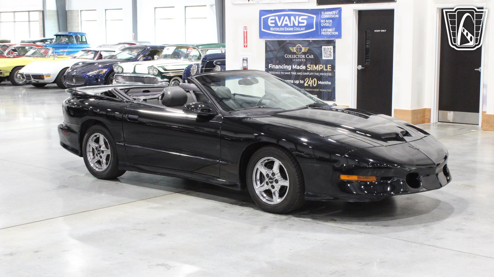 Used 1997 Pontiac Firebird Trans Am w/ Ram Air Performance Pkg RWD image 5