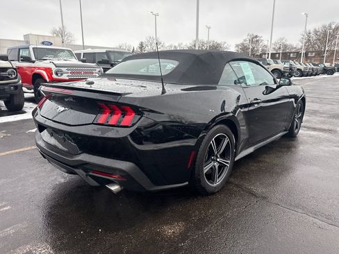 Used 2025 Ford Mustang Premium image 7