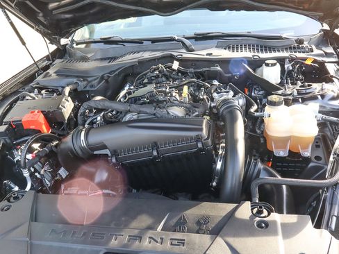 Used 2024 Ford Mustang Premium image 19