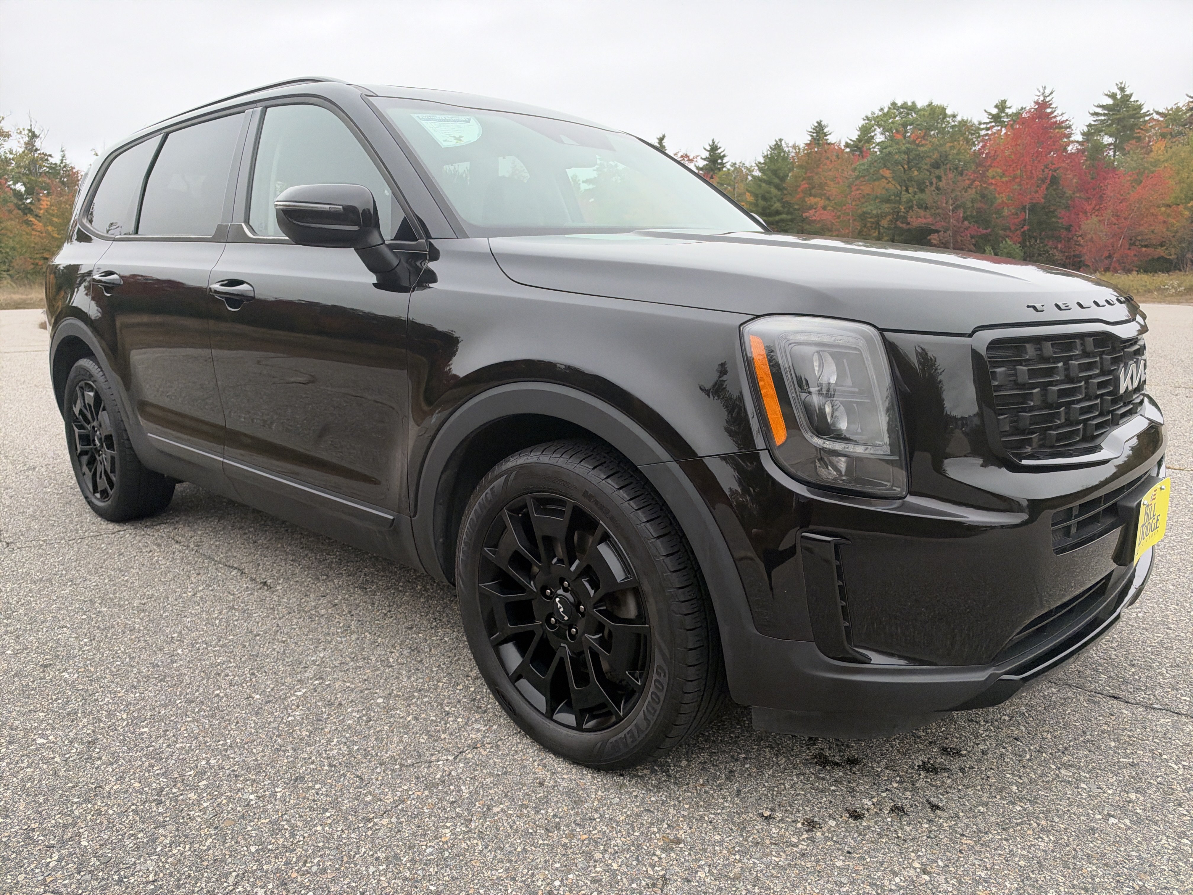 Used 2022 Kia Telluride EX w/ EX Premium Package AWD/4WD image 3