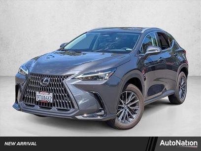 Used 2025 Lexus NX 250 FWD
