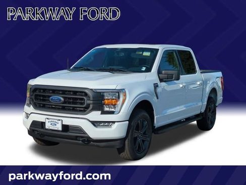 Used 2023 Ford F150 XLT w/ Equipment Group 302A High AWD/4WD image 1