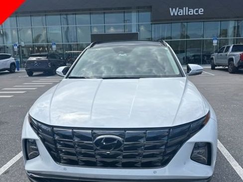 Used 2024 Hyundai Tucson Limited image 1