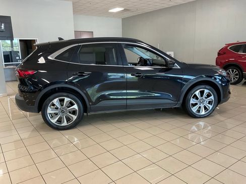Used 2025 Ford Escape Platinum AWD/4WD image 7
