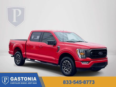 Used 2023 Ford F150 XLT w/ Equipment Group 302A High AWD/4WD image 1