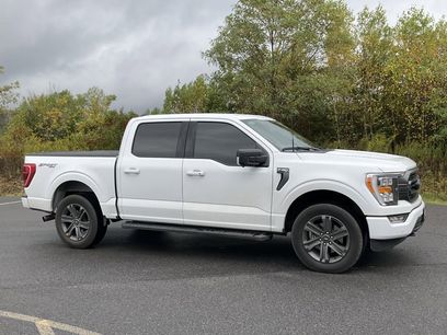 Used 2023 Ford F150 XLT w/ Equipment Group 302A High