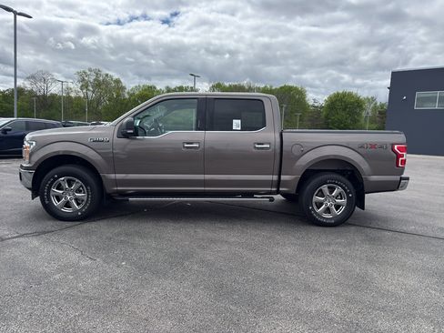 Used 2019 Ford F150 XLT w/ Equipment Group 302A Luxury AWD/4WD image 6