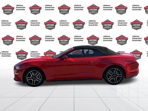 Used 2020 Ford Mustang Premium image 2