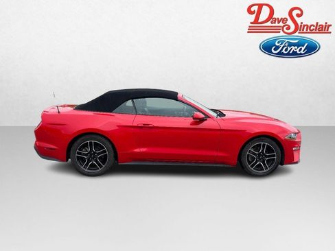 Used 2023 Ford Mustang Premium RWD image 5
