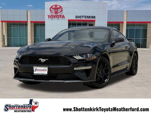 Used 2019 Ford Mustang Coupe w/ Ecoboost Performance Package RWD image 1